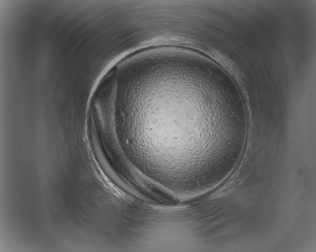 X0000056321296200509021553