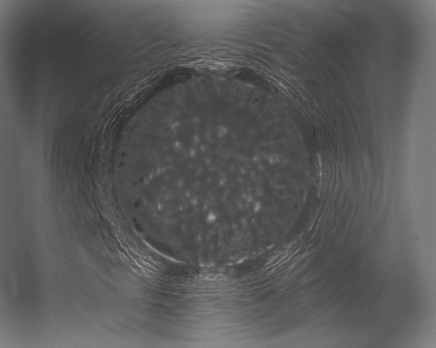 X0000056321297200509021552