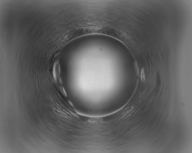 X0000056321299200509021552