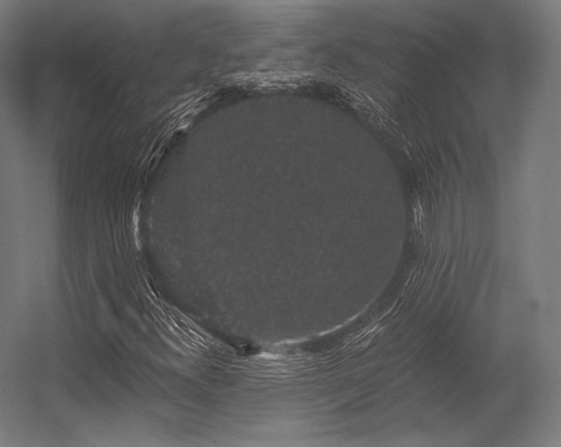 X0000056321300200509021552