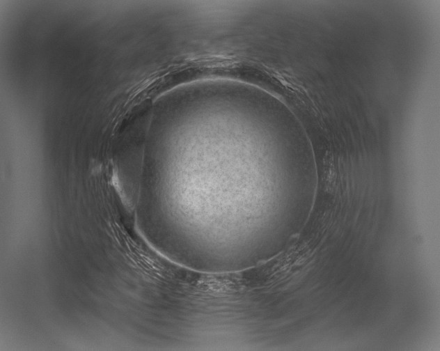 X0000056321301200509021552