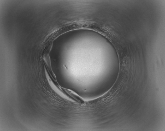X0000056321302200509021552
