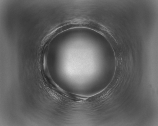 X0000056321304200509021552