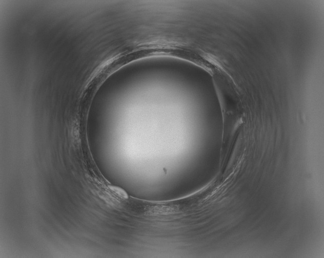 X0000056321307200509021552
