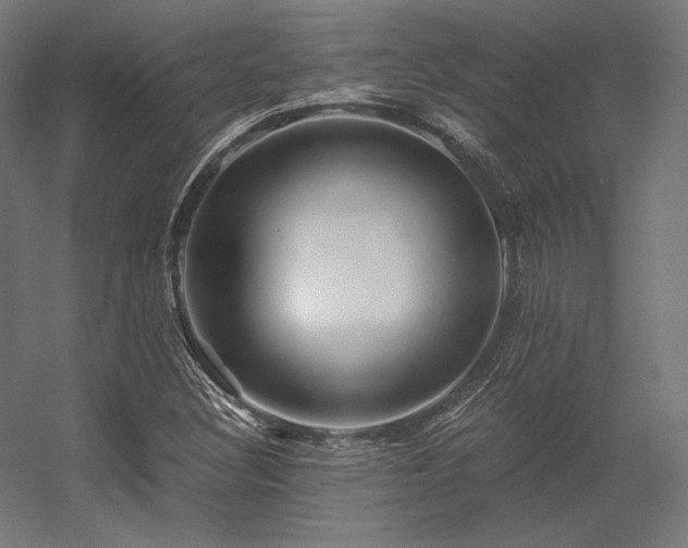 X0000056321308200509021552