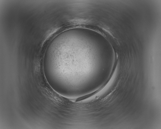 X0000056321309200509021553