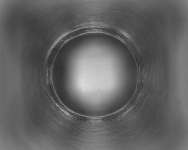 X0000056321310200509021553