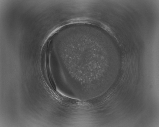 X0000056321312200509021553