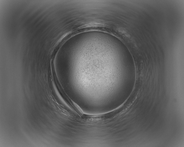 X0000056321313200509021553