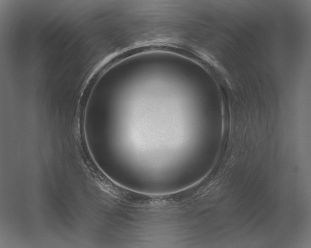 X0000056321316200509021553