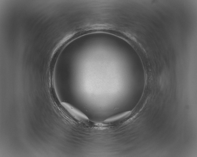 X0000056321317200509021553