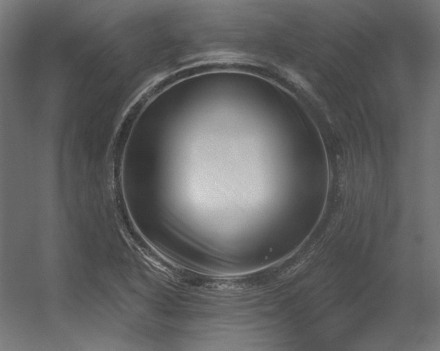 X0000056321318200509021553