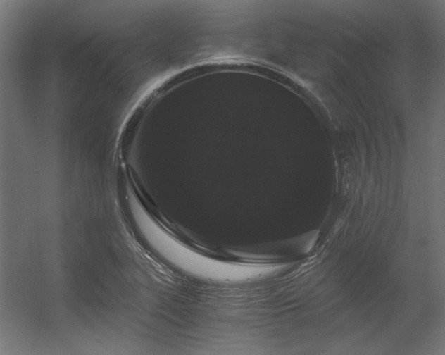 X0000056321319200509021553