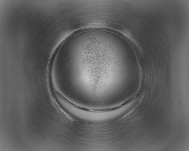 X0000056321325200509021553