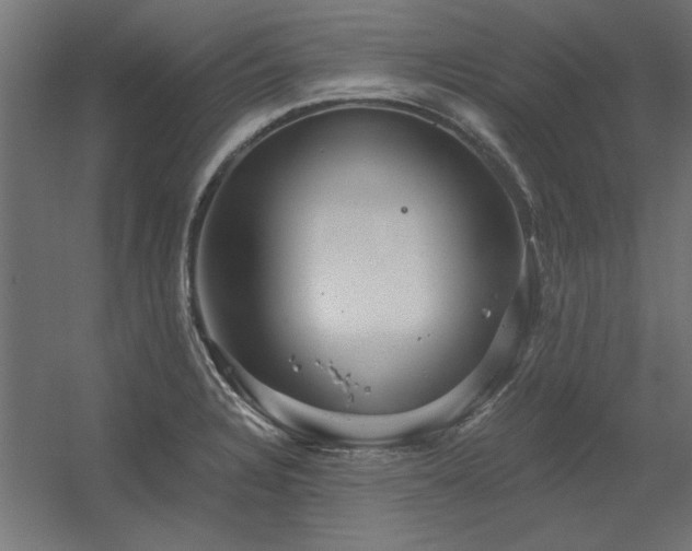X0000056321328200509021553