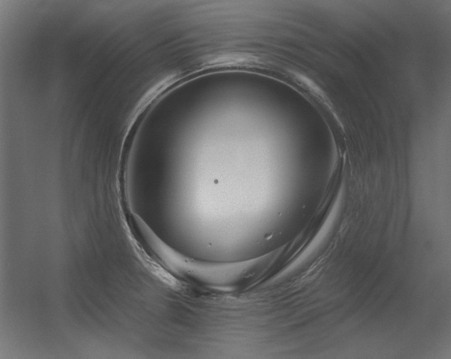 X0000056321330200509021553