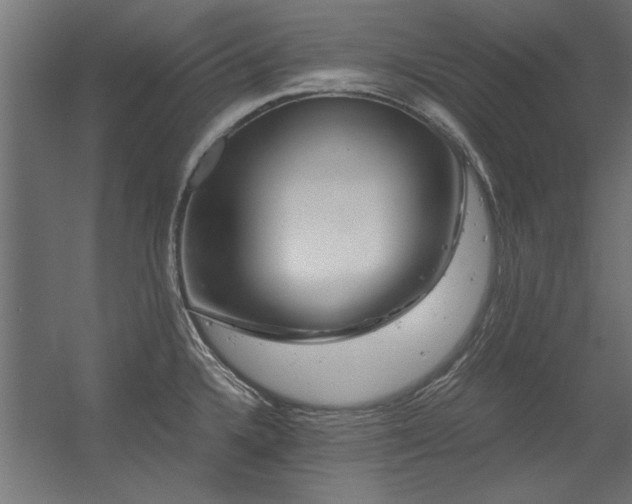X0000056321336200509021553