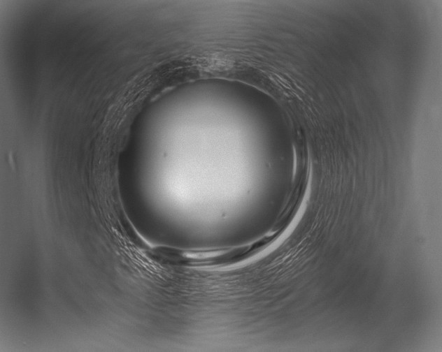 X0000056321345200509021552