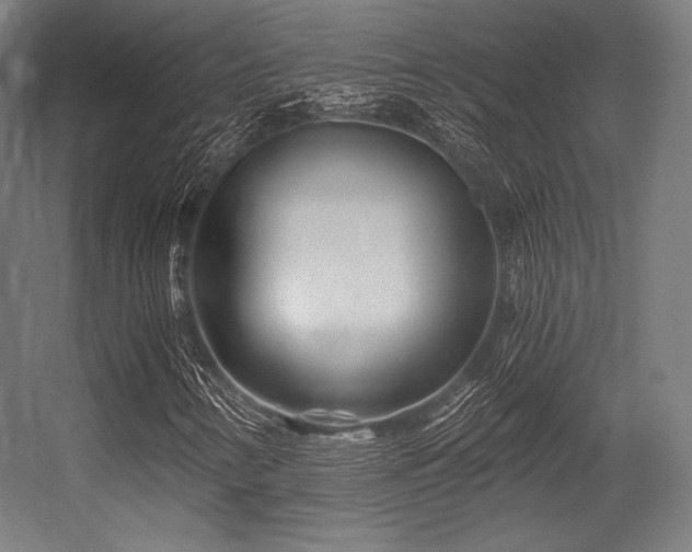 X0000056321346200509021552