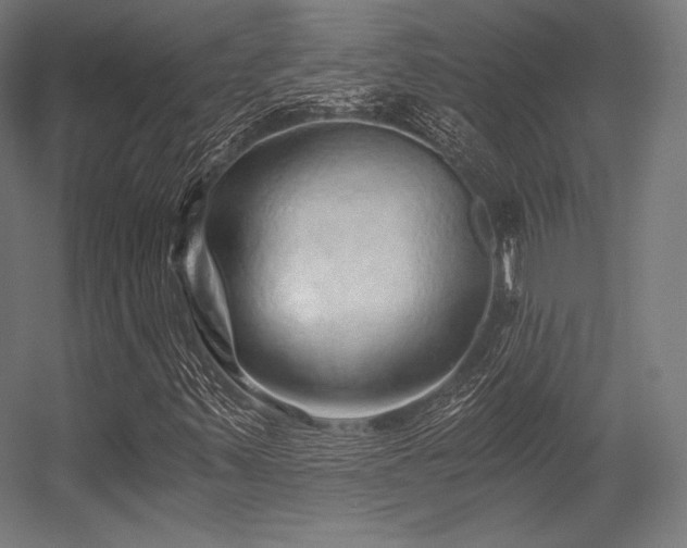 X0000056321347200509021552