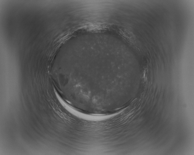 X0000056321348200509021552