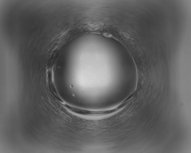 X0000056321349200509021552