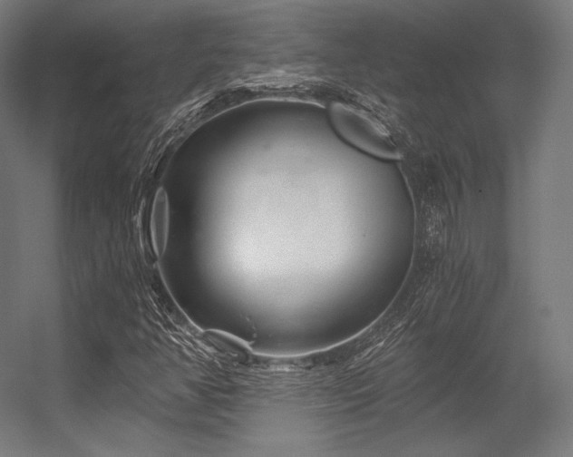 X0000056321350200509021552