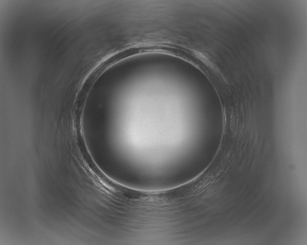 X0000056321356200509021552