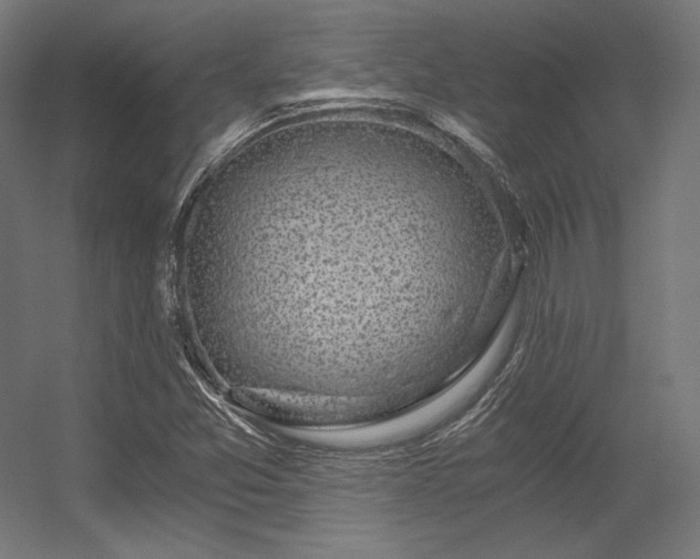 X0000056321357200509021552