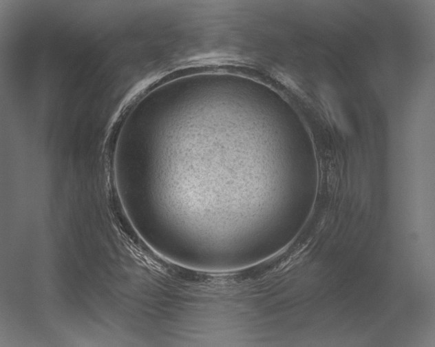 X0000056321358200509021552