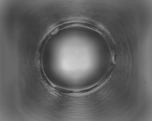 X0000056321360200509021552