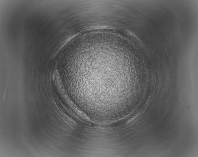 X0000056321361200509021552