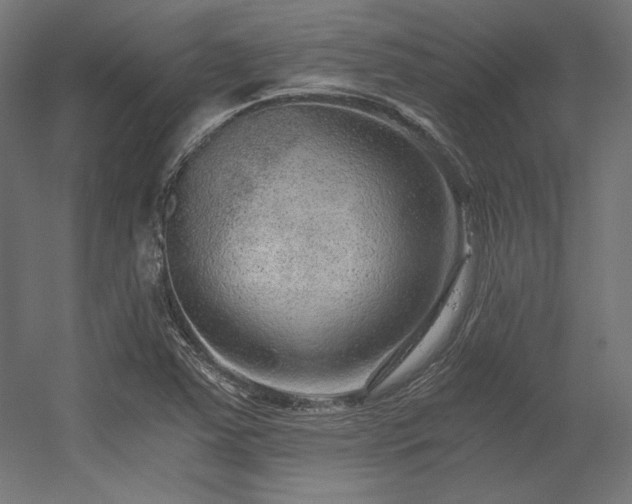 X0000056321363200509021552