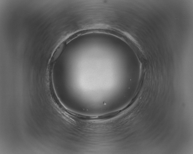 X0000056321364200509021552