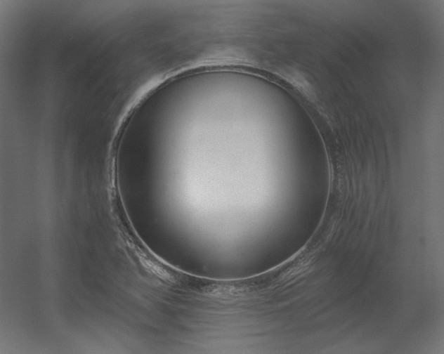 X0000056321366200509021552