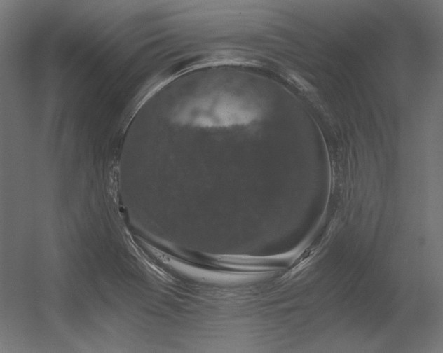 X0000056321369200509021552