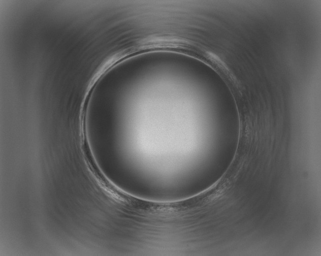 X0000056321370200509021552