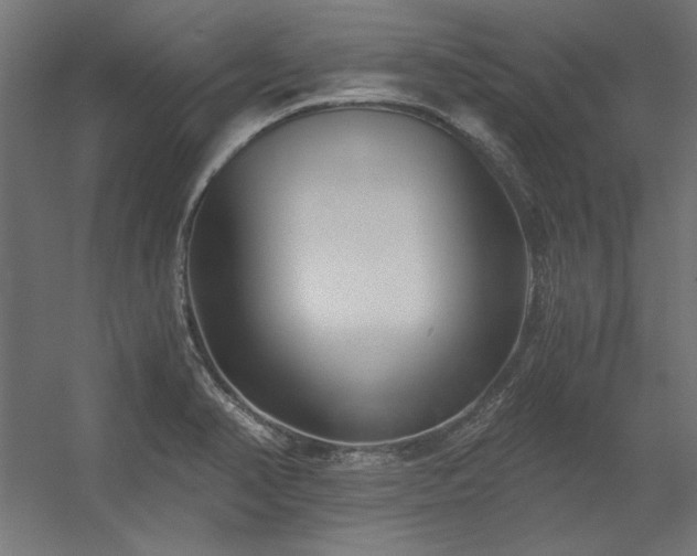 X0000056321374200509021552