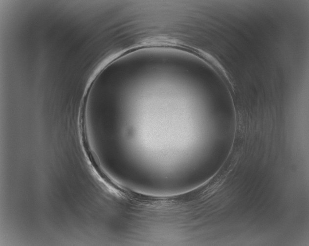X0000056321387200509021552