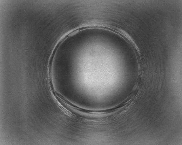 X0000056321388200509021552