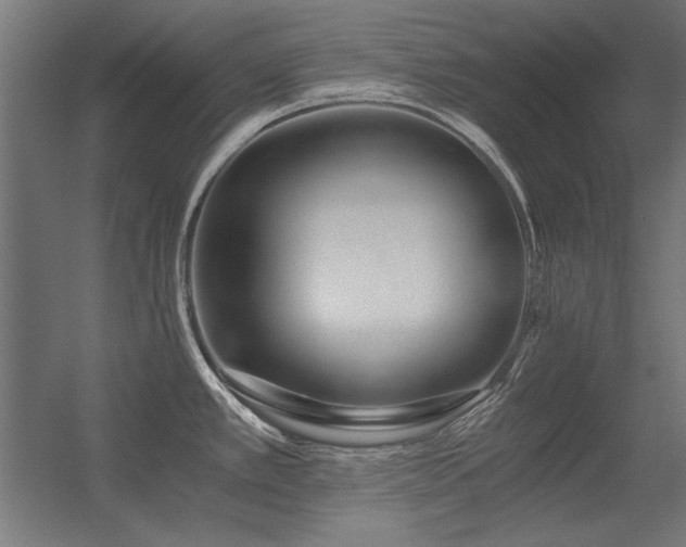 X0000056321389200509021552