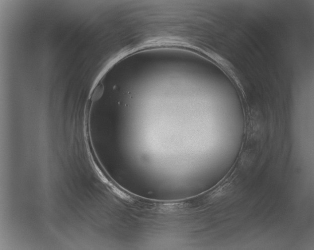 X0000056321390200509021552