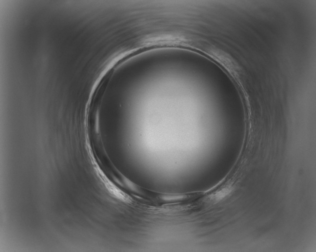 X0000056321392200509021551