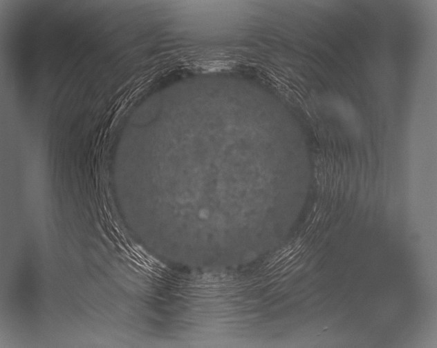 X0000056321393200509021551