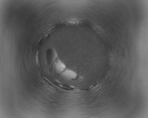 X0000056321394200509021551