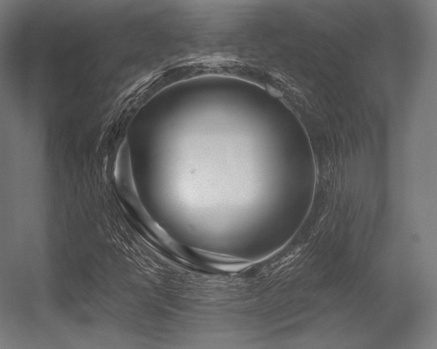 X0000056321398200509021551