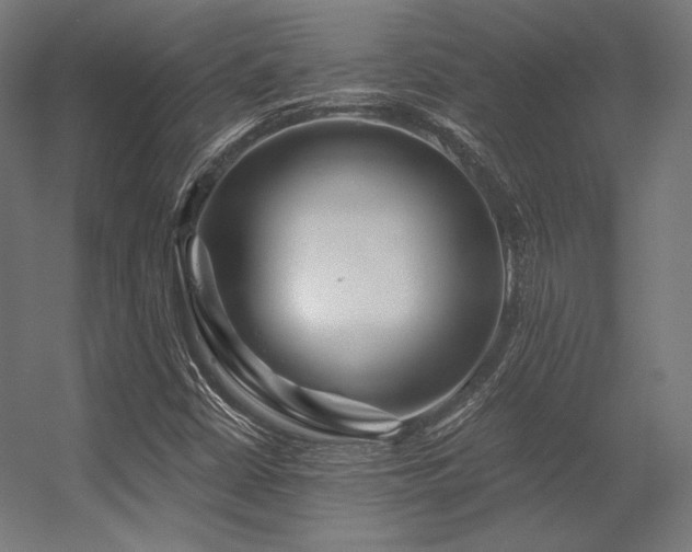 X0000056321402200509021551