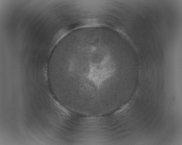 X0000056321409200509021551