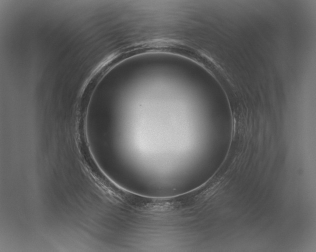 X0000056321410200509021551
