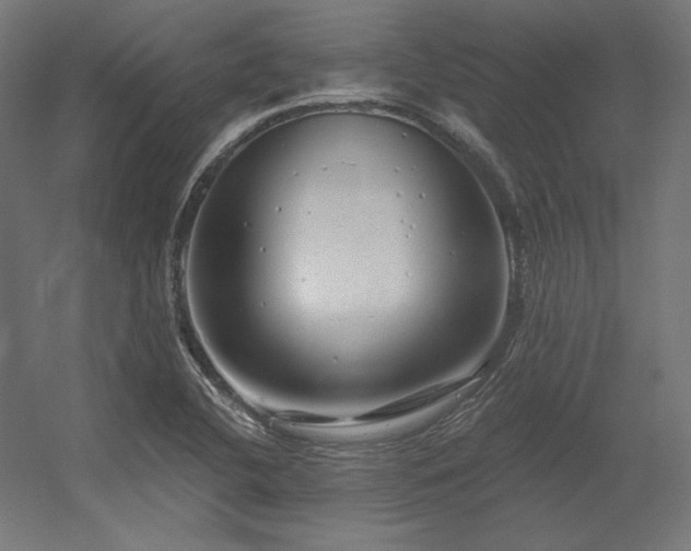 X0000056321412200509021551